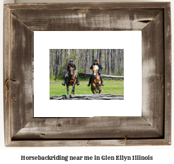 horseback riding near me in Glen Ellyn, Illinois